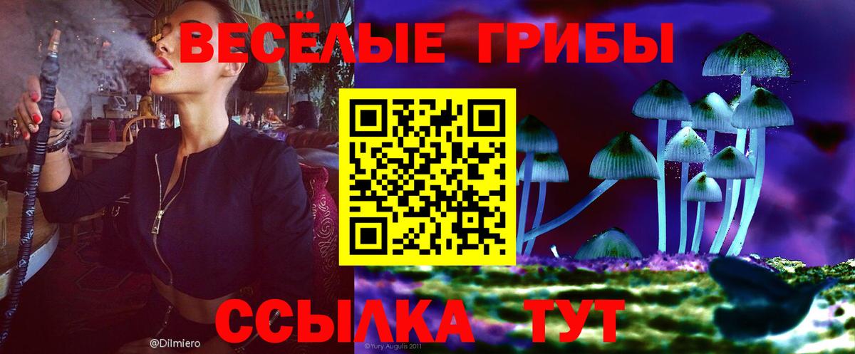 Галлюциногенные грибы Psilocybe  Вход с VPN  Карасук 